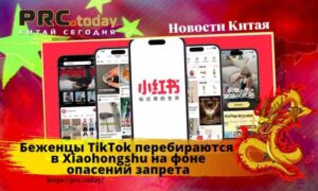 Беженцы TikTok