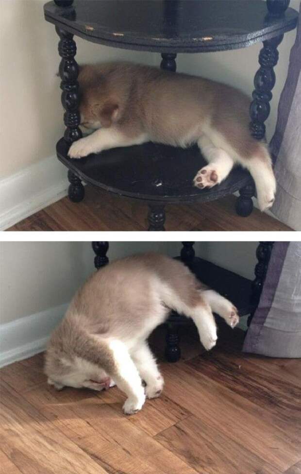 Perfect Spot To Take A Nap Perfect Spot To Take A Nap