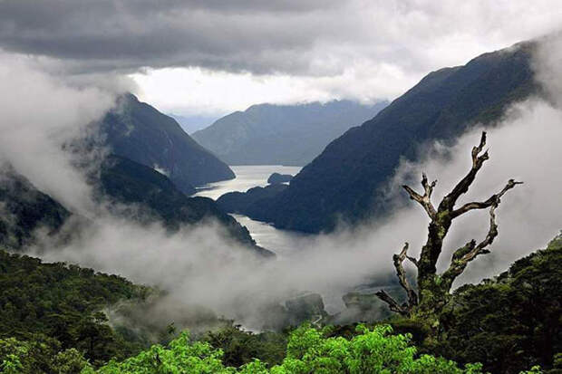 Природа Новой Зеландии.
