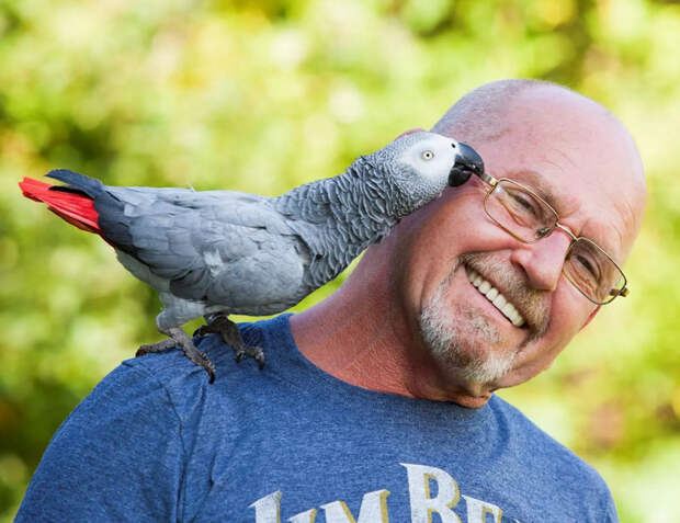 Старые песни. Олег Бондаренко