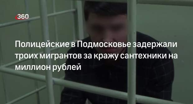 МВД РФ: в Одинцове полицейские задержали трех мужчин за кражу сантехники на миллион рублей