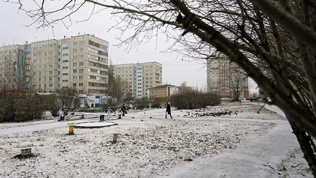 Барнаул / Фото: Екатерина Смолихина / amic.ru