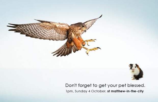 St Matthew-in-the-City: Pet, St Matthew-in-the-city, M&c Saatchi, Печатная реклама
