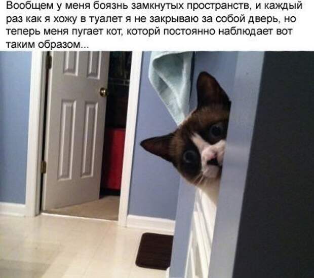 Для хорошего вторника приколы