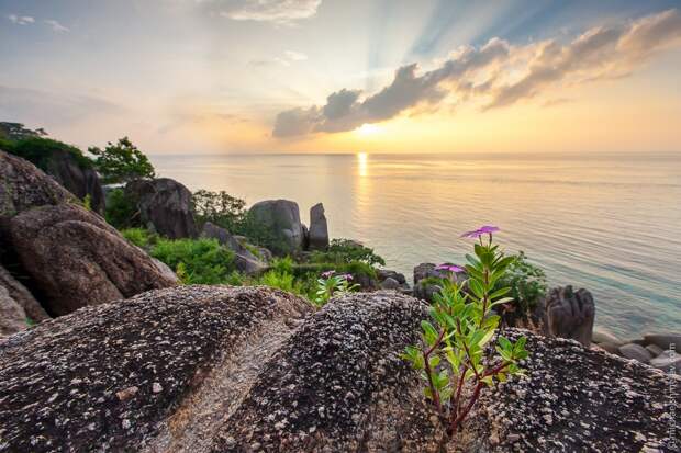 Нестандартный Таиланд: Ко Тао KoTao20 Нестандартный Таиланд: Ко Тао