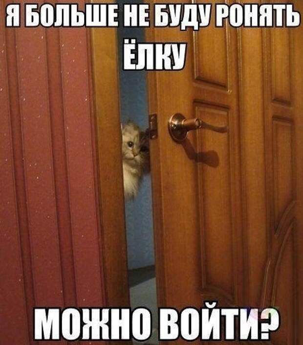 Котоматрицы на Новый год