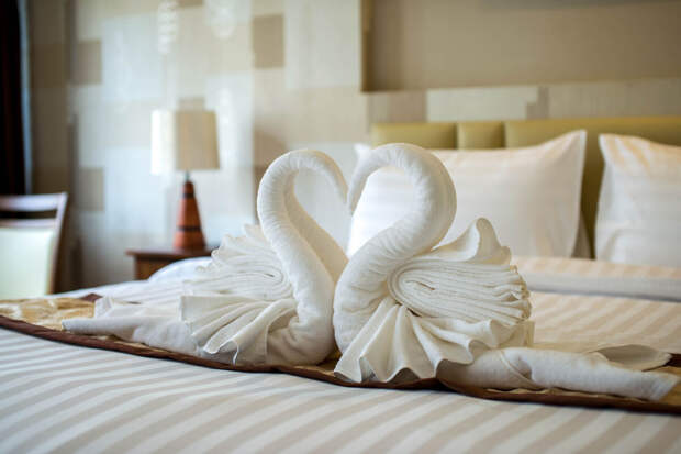 Минэкономразвития: в Max появятся анкеты для заселения в отель