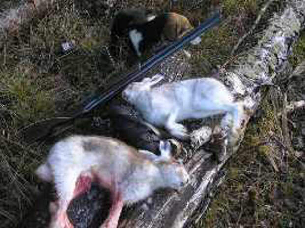 hunting