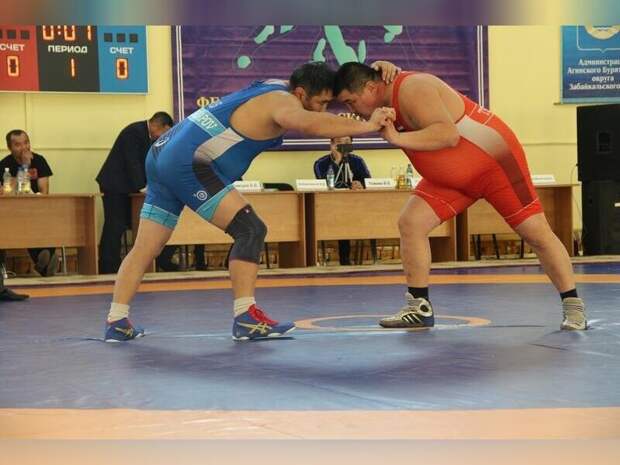 Более 15 медалей завоевали забайкальцы на соревнованиях по вольной борьбе
