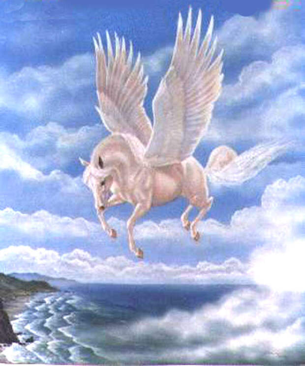 http://lifeissweet16.files.wordpress.com/2009/11/pegasus1.jpg