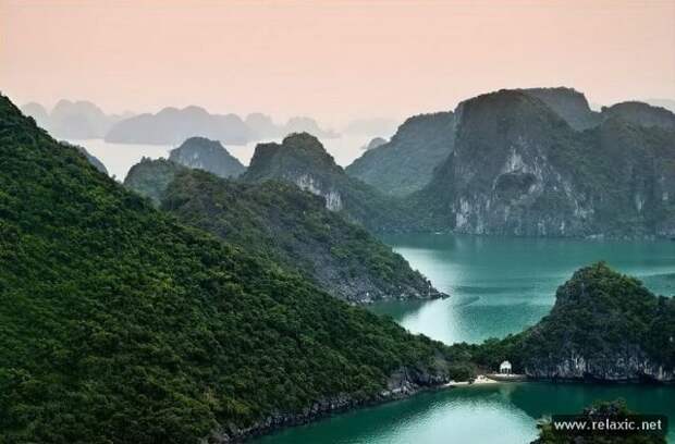 nature_007