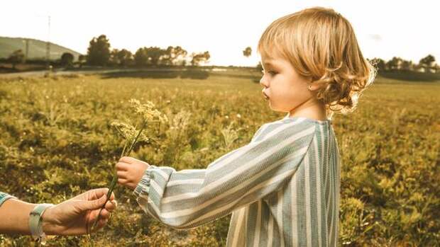 Как научить ребенка ценить прекрасное?