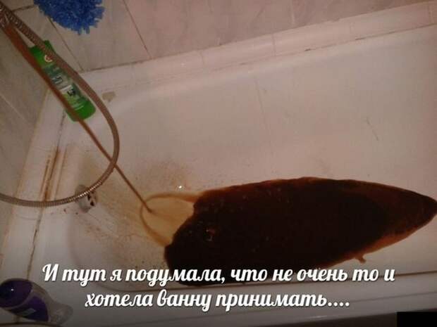 Картинки со смешными подписями