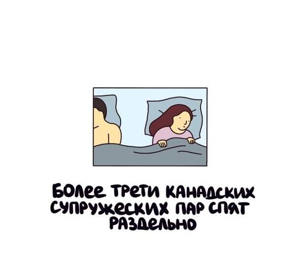 Короткие интересные факты на все случаи жизни