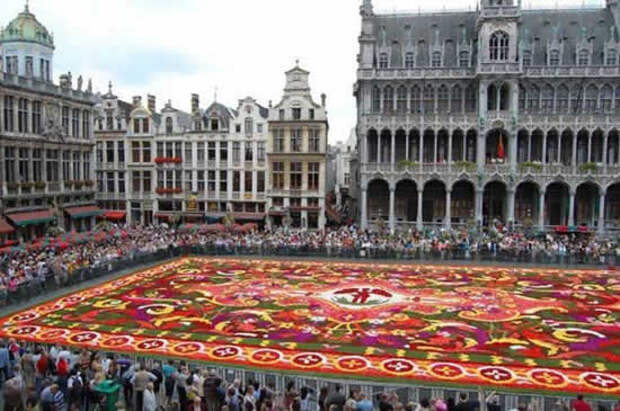 flower carpet The Giant Flower Carpet of Brussels 