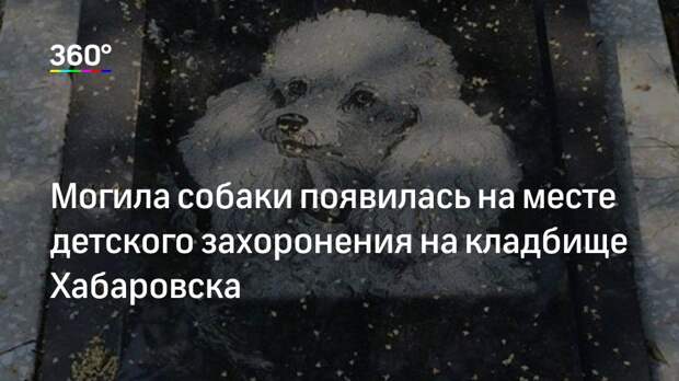 Могила собаки появилась на месте детского захоронения на кладбище Хабаровска