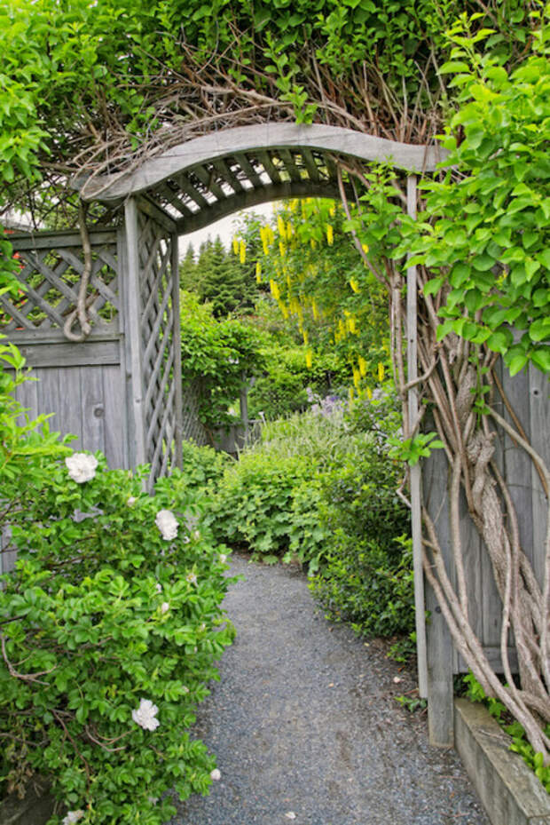 Деревянный свод, украшенный вьющимися многолетними растениями, может стать изюминкой любого садового участка.