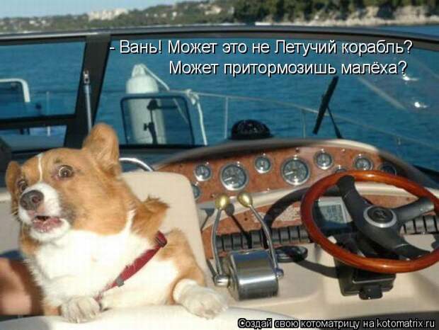 Котоматрица: - Вань! Может это не Летучий корабль? Может притормозишь малёха?