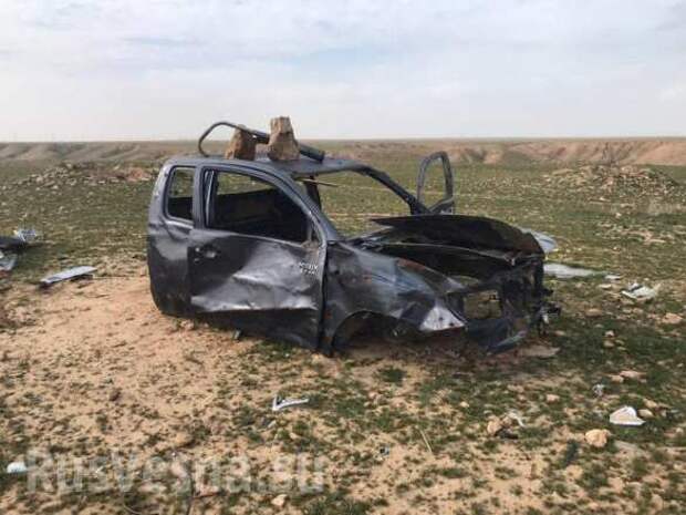 Сирия: Охота на крыс — в «зелёной пустыне» выжигают выживших боевиков (+ФОТО, ВИДЕО) | Русская весна