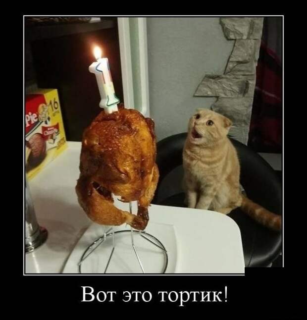 Демотиваторы (30 фото)