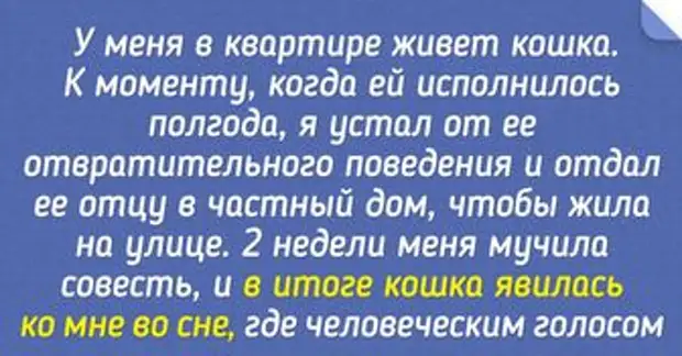 Сонник мёд к чему снится. К чему снится вернуться к бывшему мужу