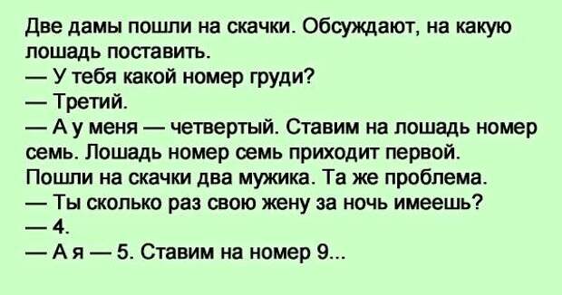 Поставь номер 7. А ко мне лошадка приходила анекдот. Две дамы пошли на скачки. Две дамы пошли на скачки обсуждают. Анекдот про оптимиста лошадка приходила.