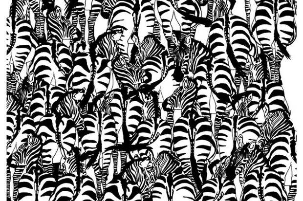 Визуальная головоломка от BBC Earth: найди барсука Визуальная головоломка от BBC Earth: найди барсука