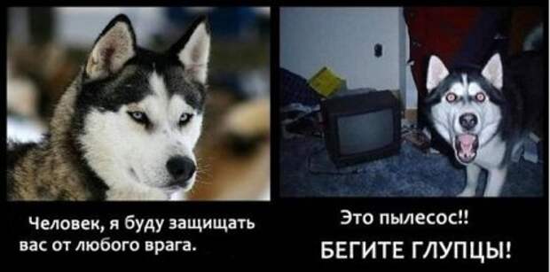 Забей на дождь - смотри приколы.