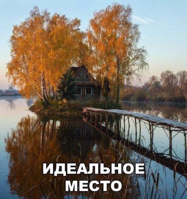 Картинки, юмор, приколы