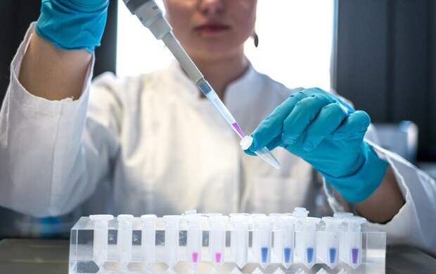 Ученые представили успешные результаты тестирования экспериментальной вакцины против ВИЧ