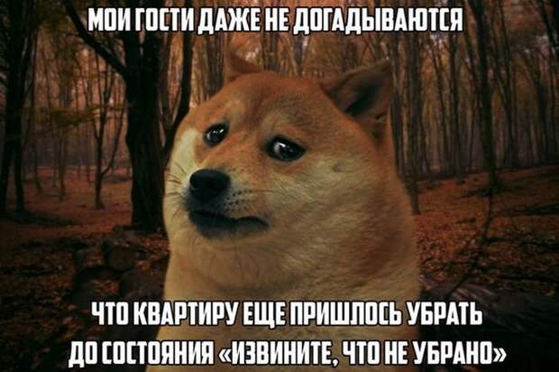 Картинки с забавными подписями
