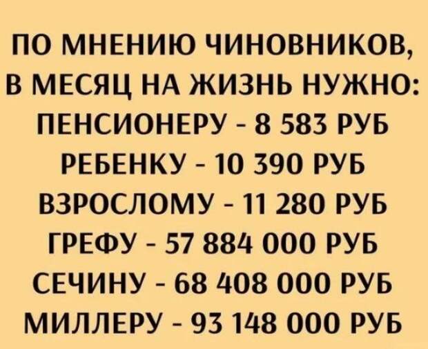 Донецкая группа новостей, Донецк ДНР