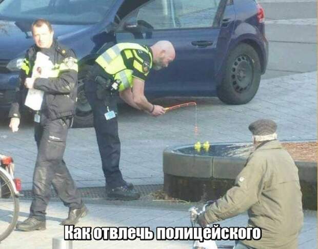 Подборка картинок. Вечерний выпуск (24 фото)