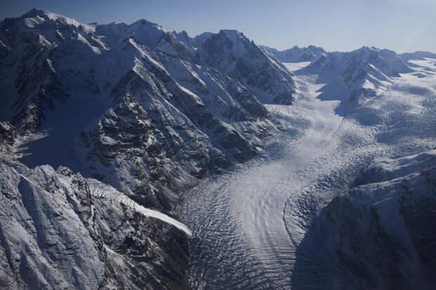 Politico: одержимость Трампа Гренландией отвлекла внимание от Украины