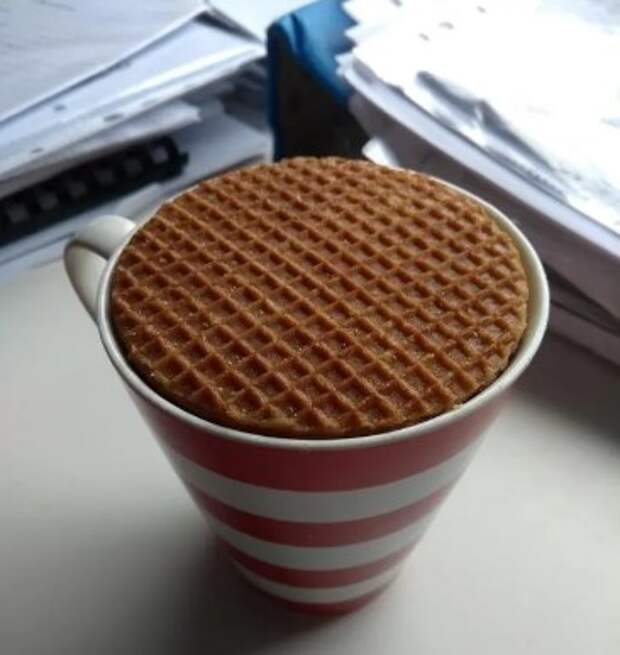 17 вещей, которые подходят друг другу так идеально, как не подходят мужья и жены