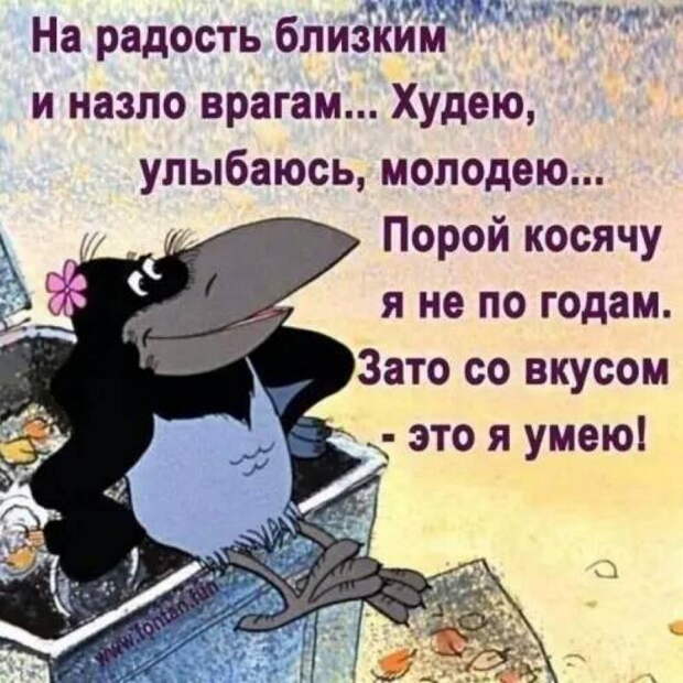 Двадцать лучших шуток недели в картинках