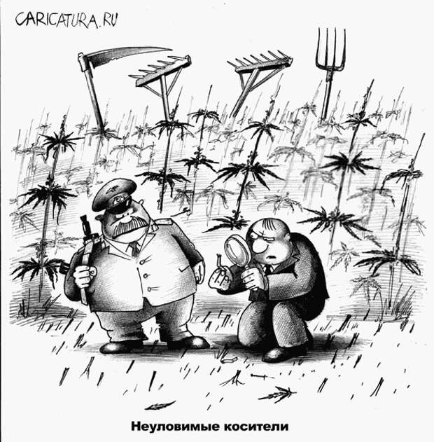 Забавные карикатуры Забавные карикатуры