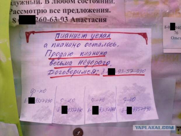 Надписи и объявления с просторов