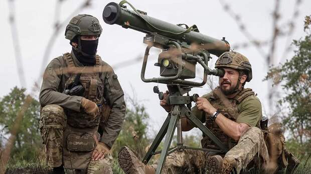 В Совфеде указали желание Евросоюза воевать с Россией руками украинцев