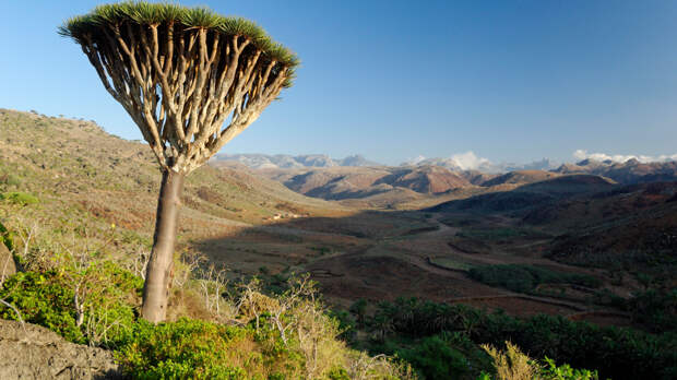 Первая группа застрявших на Сокотре россиян вылетела в Саудовскую Аравию