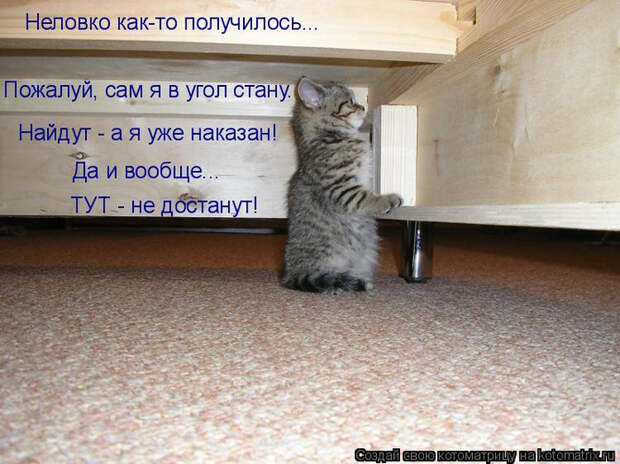 kotomatritsa_d (700x524, 383Kb)