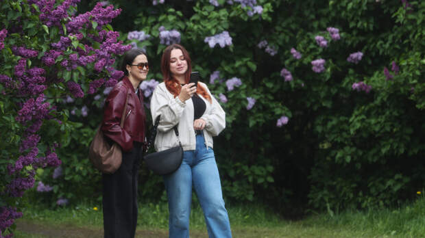 Букеты под запретом: что грозит за срывание веток сирени