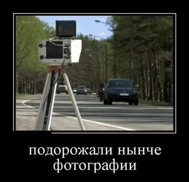 Немотивированные демотиваторы.