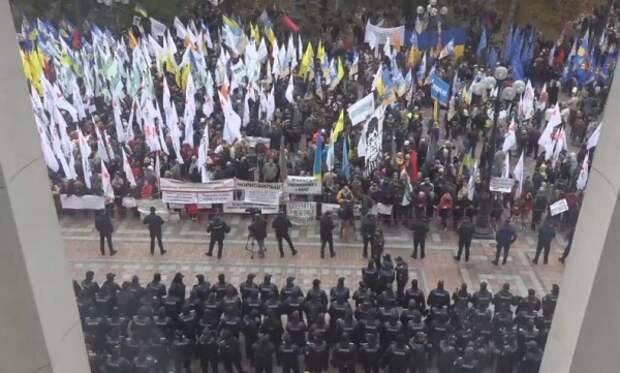 Украина, Киев, митинг, протест|Фото: strana.ua