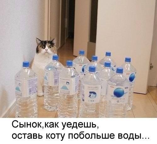 Свежие фото-приколы для всех (49 шт)