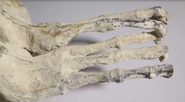 НЛО и креатив