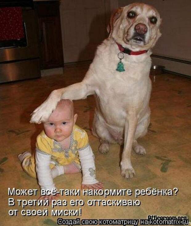 Юмор помогает пробудиться от крепкого сна