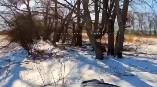 Расчёты ударных БПЛА Тульских десантников уничтожили технику и личный состав ВСУ в Сумской области