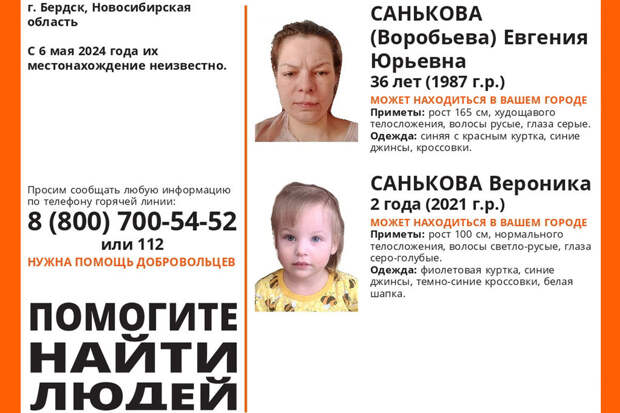 В Новосибирской области без вести пропали 35-летняя женщина и ее двухлетняя дочь