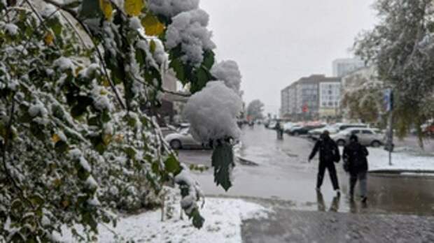 Снег засыпал Барнаул в начале октября / Фото: amic.ru / Екатерина Смолихина 